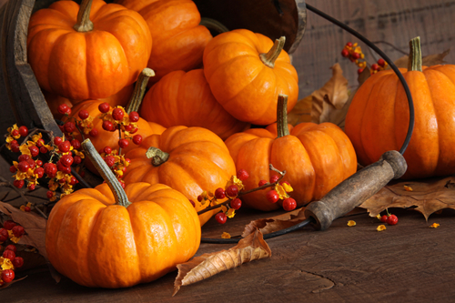 Photo of small pumpkins with wood bucket